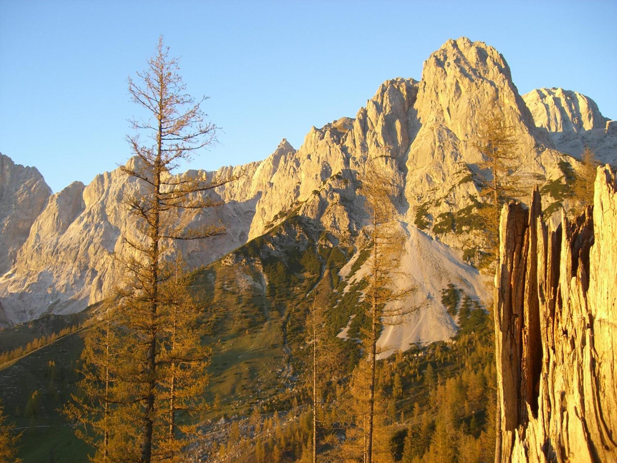 Gasthof Hunerkogel Ξενοδοχείο Ramsau am Dachstein Εξωτερικό φωτογραφία